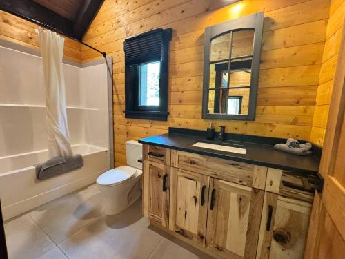 a bathroom with a sink and a toilet and a mirror at Mountaineer Creekside Cabin - Private Hot Tub in Golden