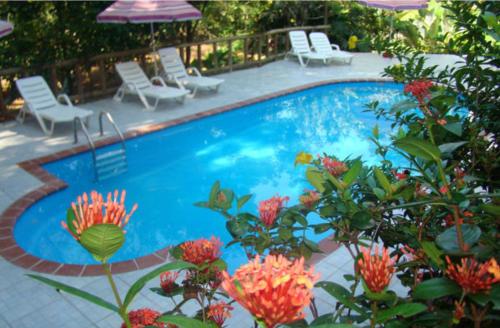 una piscina con sillas, sombrillas y flores en Hotel Samsara, en Uvita