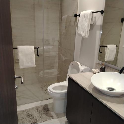 a bathroom with a shower and a toilet and a sink at Beach home in Bucerías