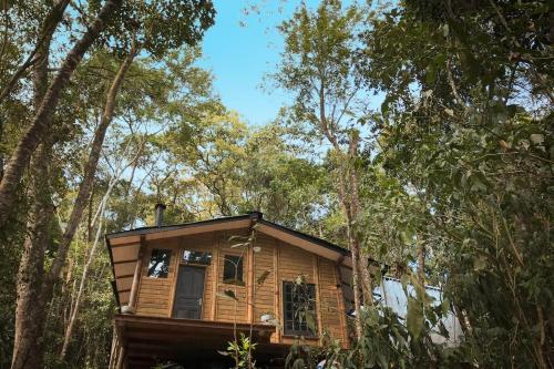 a cabin in the woods with trees at Floresta das Evas in Petrópolis