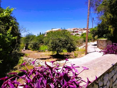 a garden with purple flowers next to a sidewalk at Villa Spiti Ute in Makrádes