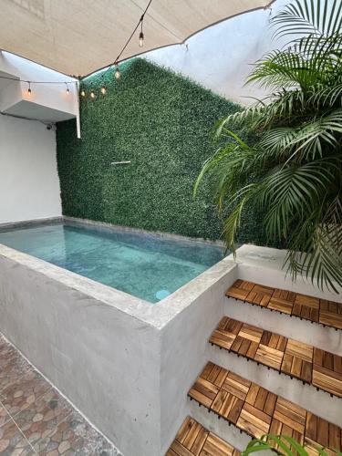 a swimming pool with a green wall at Centrico departamento en el corazon de Cancun a 5 mins del ADO in Cancún