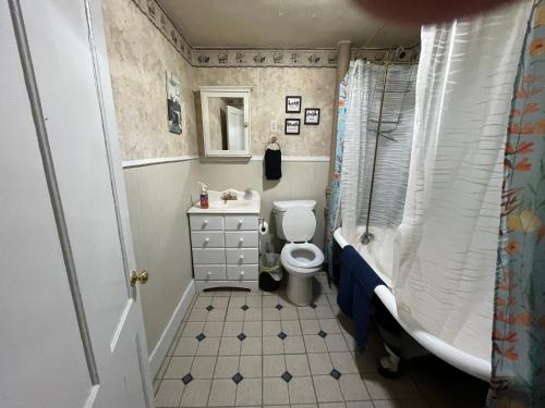 a small bathroom with a toilet and a sink at Intimate 1 Bedroom Apt by UHS in Binghamton