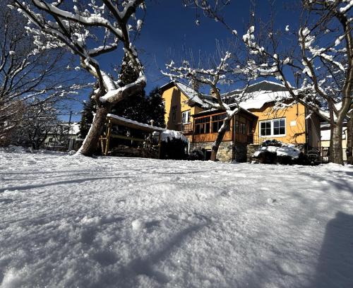 een sneeuwbedekte tuin met een huis op de achtergrond bij Lipoffka in Lipova Lazne