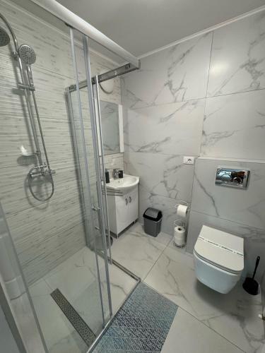 a bathroom with a shower and a toilet and a sink at Casa Venus in Sînmartin