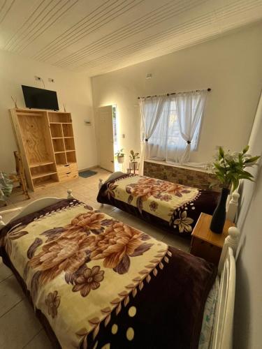 ein Schlafzimmer mit zwei Betten und einem Fernseher darin in der Unterkunft DaniyMari in Monte Grande