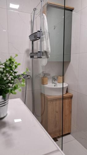 a bathroom with a sink and a shower with a mirror at Diamond Magic 2 Divcibare in Divčibare