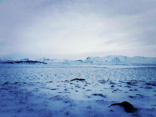 Galeriebild der Unterkunft Syðri-Þverá, Nature view Apartment in Hvammstangi