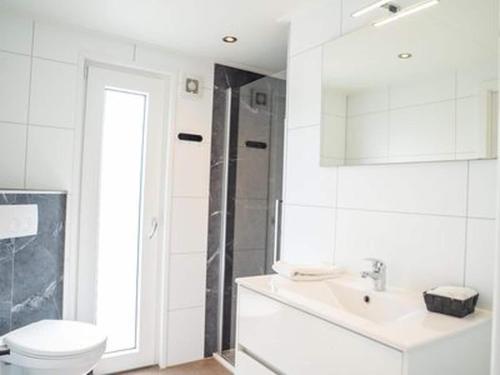 费尔德霍芬Chalet by Park Pond in the Netherlands的带马桶和水槽的白色浴室