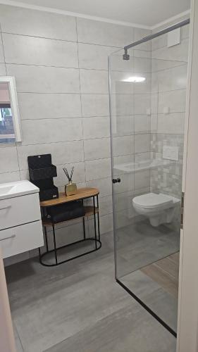 a bathroom with a glass shower and a toilet at Bright apartment, private parking in Dudelange