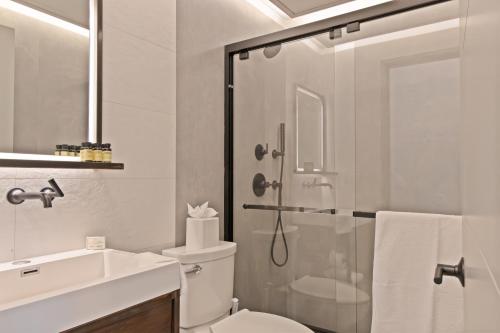 a bathroom with a shower and a toilet and a sink at Sosuite at The Queen - Queen Village in Philadelphia