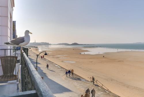 a seagull sitting on a balcony looking at the beach at Hotel Kyriad Saint Malo Centre Plage in Saint Malo