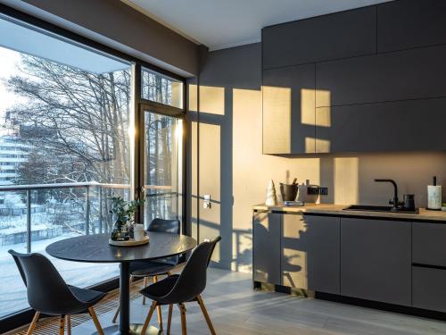 Kuchyň nebo kuchyňský kout v ubytování SkyGarden Studio - Private Terrace and View in Quiet Jūrmala