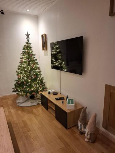 TV/Unterhaltungsangebot in der Unterkunft Maison familiale en lisière de forêt