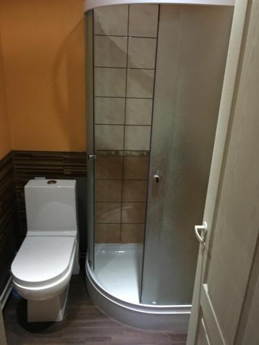 a bathroom with a toilet and a shower at Tolli Hostel & Holiday House in Valga