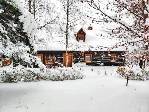 a cabin in the snow with snow covered trees at Pod Wysokim Niebem in Wysokie