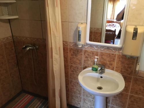 ein Bad mit einem Waschbecken und einer Dusche mit einem Spiegel in der Unterkunft Tolli Hostel & Holiday House in Valga
