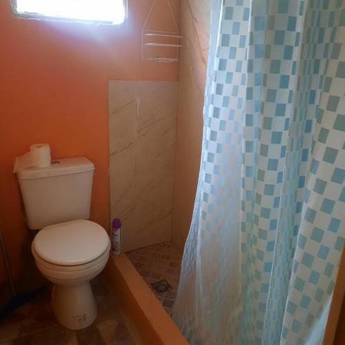 un bagno con un water e una tenda da doccia di dpto MDZ a Comodoro Rivadavia