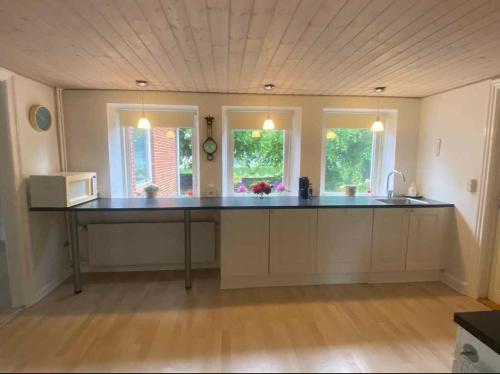 a kitchen with a sink and a counter top at The Coziest Farm Holiday In The Countryside in Tommerup
