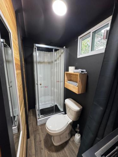 ein kleines Badezimmer mit Toilette und Dusche in der Unterkunft rock camp cabins in Rancho Laborcilla