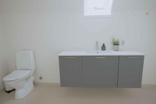 a white bathroom with a toilet and a sink at Hindemae Estate For Holidays And Events in Ullerslev