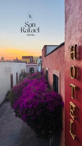 un gruppo di fiori viola accanto a un edificio di Hotel San Rafael a Querétaro