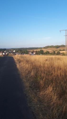 un campo de hierba alta y marrón junto a una carretera en Ferienwohnung Matheaperle, en Nidda