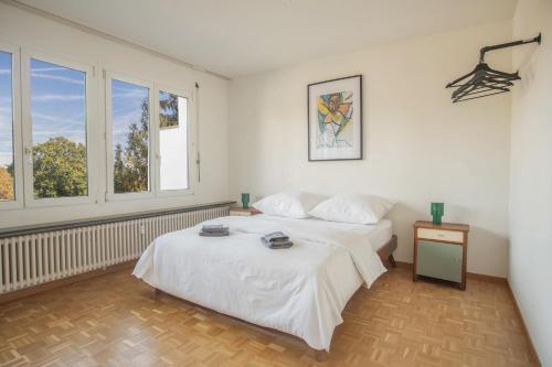 Top floor apartment with two terraces and BaselCard