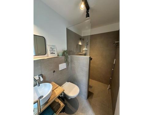 a bathroom with a sink and a toilet and a mirror at The Linnebargs, House 1 in Bisdorf