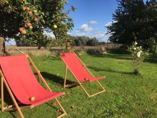 Gallery image of Historic farmhouse 1840 in Mursewiek