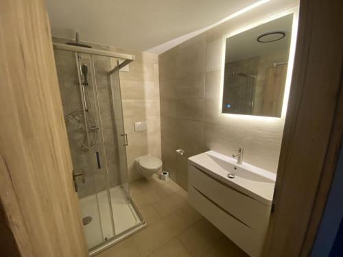 LangenhennersdorfHoliday home at the rock labyrinth的带淋浴、水槽和马桶的浴室