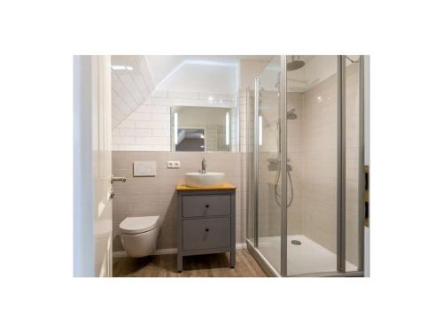 a bathroom with a toilet and a sink and a shower at Dream holiday under a thatched roof in Brunsbüttel