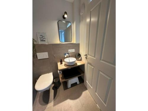 a small bathroom with a sink and a toilet at The Linnebargs, House 2 in Bisdorf
