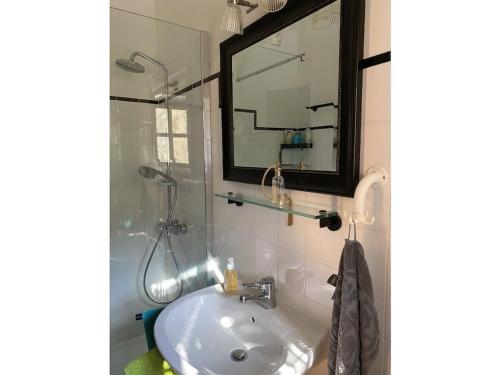 een badkamer met een wastafel en een spiegel bij Holiday home aison Le Barret in Sallelles