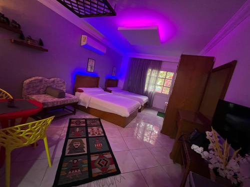 Delta Sharm studio with garden view