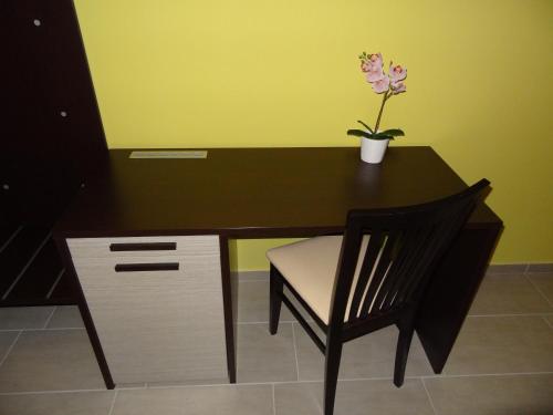 a desk with a chair and a plant on it at Affittacamere Rooms Di Matteo in San Paolo di Iesi