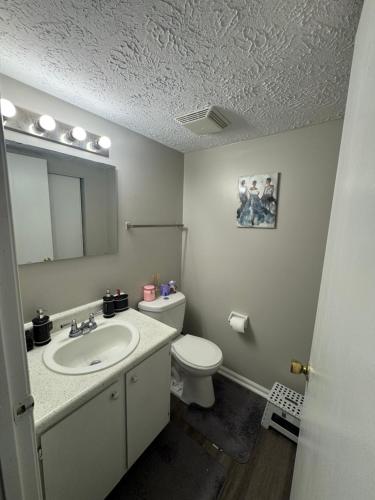 a bathroom with a sink and a toilet and a mirror at Comfort zone in Indianapolis