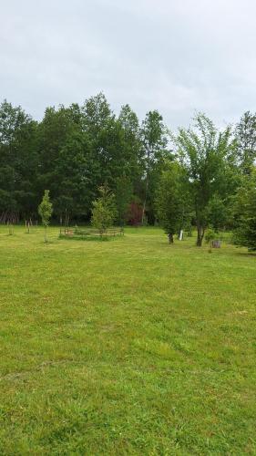 Naturlandskabet i nærheden af feriehuset