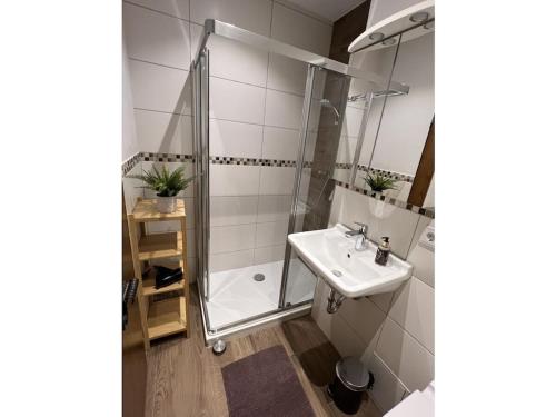 Pine-paneled room by the lake في شليرزيه: حمام مع دش ومغسلة