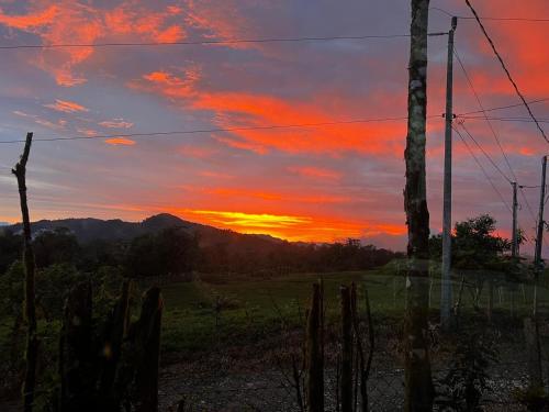 在露营地或周边看到的日出或日落