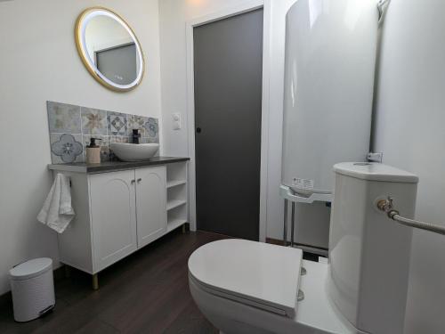 Koupelna v ubytování Charmante Maison 3* Près d'Orléans avec Confort et Wi-Fi - FR-1-590-587