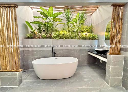 Imagine din galeria proprietății Sea House Hotels and Apartments în Vung Tau