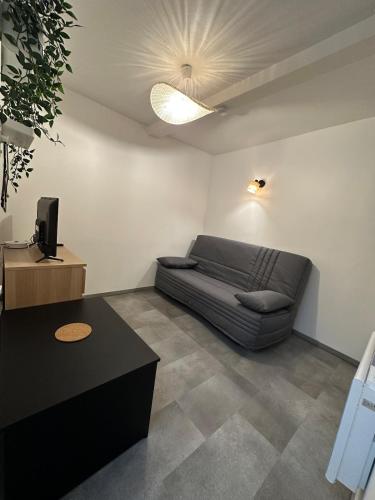 VolonneCharmant studio neuf au coeur de Volonne的带沙发和电视的客厅