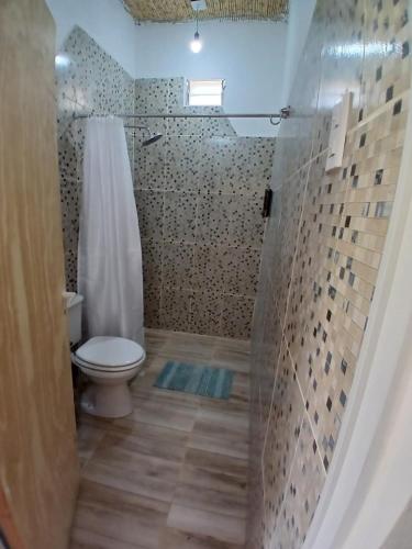 a bathroom with a toilet and a shower at Kateké in Tinogasta