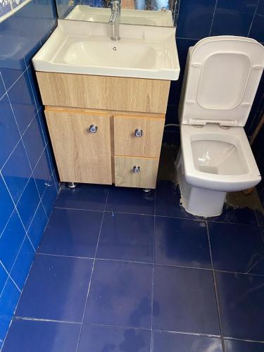 a bathroom with a toilet and a sink at Dhanolti Apple Orchard Resort in Dhanaulti