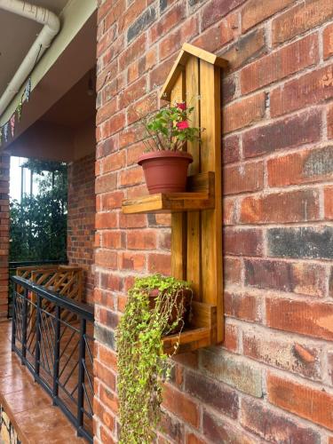 Fotografie z fotogalerie ubytování Ngaali Nest v destinaci Entebbe