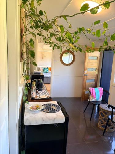 Een keuken of kitchenette bij Mystic Gardens with private entrance and bathroom