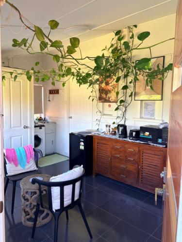 Mystic Gardens with private entrance and bathroom的厨房或小厨房