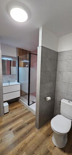 Un baño con inodoro, ducha y lavabo. en Le Kerveguen, en Saint-Gilles-les-Bains