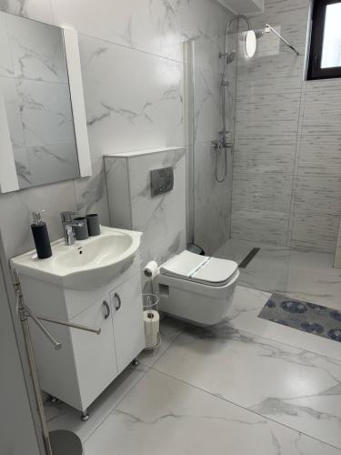 a white bathroom with a toilet and a sink at Casa Venus in Sînmartin